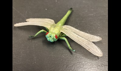 Plastic Insects : Individual : Dragonfly (over 3yr Old Only)