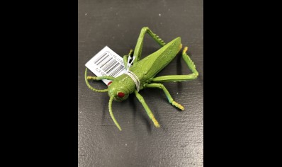 Plastic Insects : Individual : Grasshopper (over 3yr Old Only)
