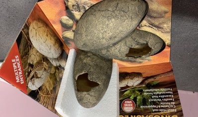 Dinosaur eggs Large..... 1 left