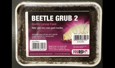 Beetle Grub Type 2 Substrate