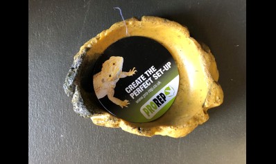 Pro rep terrarium bowl stone dish