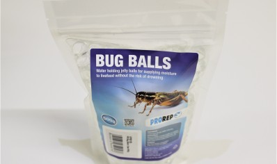 H20 water balls insect hydration clear