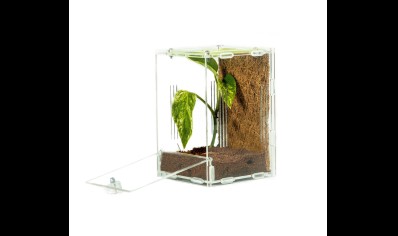 Acrylic ventilated tall arboreal viv 10 x 10 x 15cm ...small