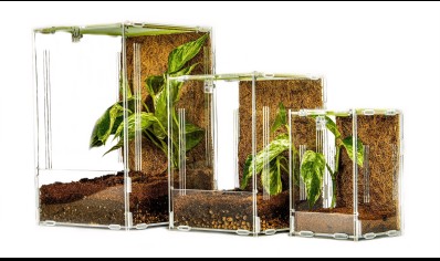 Acrylic ventilated tall arboreal viv 10 x 10 x 15cm ...small