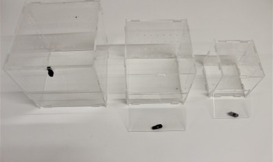 acrylic terrestrial cube viv ..10cm cube