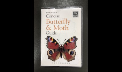 Butterfly & moth: Concise  Guide