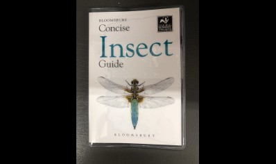  Insects: Concise Guide