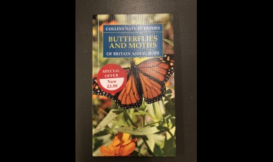  Butterflies & Moths: Collins Nature Guides