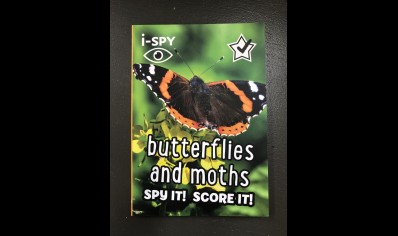 Butterflies and moths: I SPY