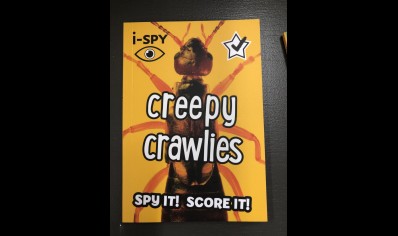 Children: Insects : I-SPY- creepy crawlies