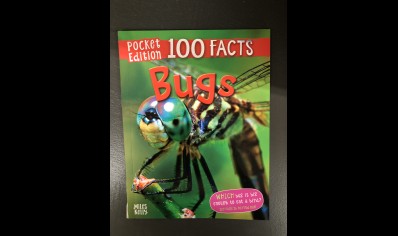 Insects: Miles Kelly- Bugs pocket edition 100 facts
