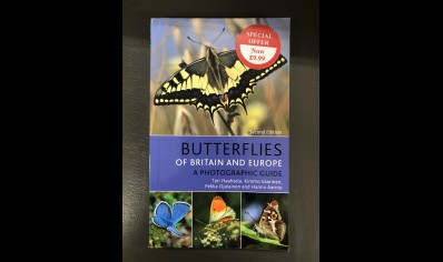 Butterflies: Bloomsbury- Great Britain & Europe- Photography guide