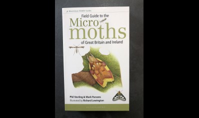 Micro Moths: Bloomsbury Field Guide of great Britain & Ireland