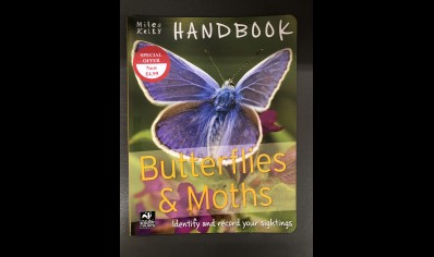 Butterflies & Moths: Miles Kelly Handbook 