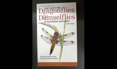 Dragonflies & Damselflies: Bloomsbury Field Guide to the of great Britain & Ireland