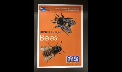 BEES: RSPB ID spotlight 