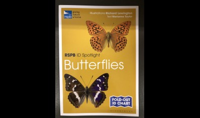  Butterflies: RSPB ID spotlight