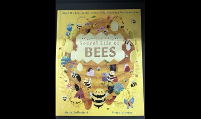 Children: The secret life of Bees by moira butterfield & Vivian Mineker