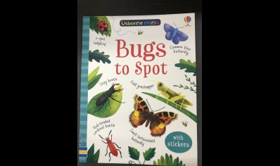 Children: Bugs to spot- Includes Stickers