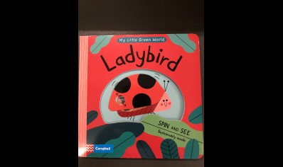 Children: Ladybird Spin and See book