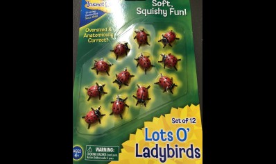 Insect Lore Lots o Ladybirds set of 12 (4yrs plus)