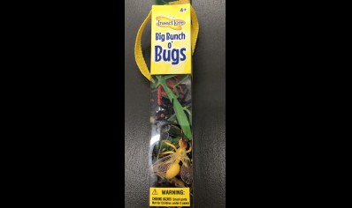 Insect Lore Big Bunch o Bugs (4yrs plus)