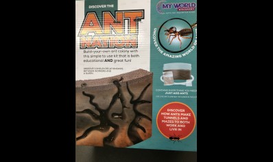 Funtime: Ant Nation Build your own Ant colony (5yrs plus)