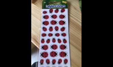 Insect Lore: Ladybird Stickers (4yrs plus)
