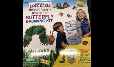 Insect Lore: Very hungry caterpillar, Butterfly growing Kit (4yrs plus)