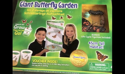 Insect Lore: Giant Butterfly Garden (4yrs plus)