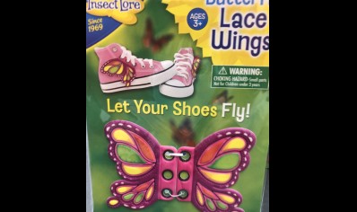 Insect Lore: Butterfly Lace Wings Pink (3yrs plus)