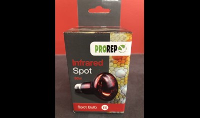 Pro Rep: Infrared Spot 60 Watts