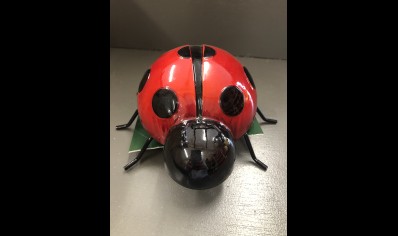 Fountasia: Metal Wall Art Ladybird large- 20% Off was 12.50