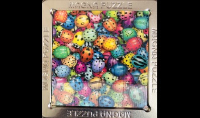 Cheatwell: Magna puzzle-Bugs