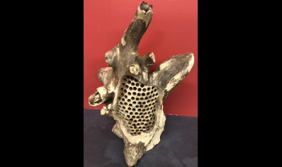 Sunlover: Driftwood Bees Nest - Standing 6 Bees 