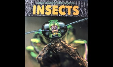 Childrens: Insects By Grace Jones