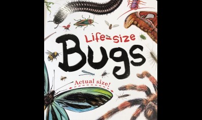 Childrens: Life Size Bugs