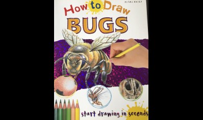 Childrens: How to Draw Bugs 