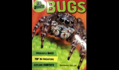 Childrens: In Focus Bugs - B Taylor