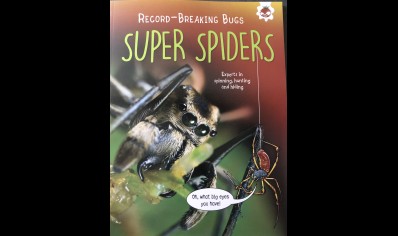 Childrens:Record Breaking Bugs Super Spiders