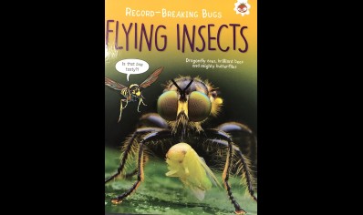Childrens: Record Breaking Bugs Flying Insects