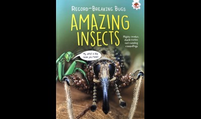 Childrens:Record Breaking Bugs Amazing Insects