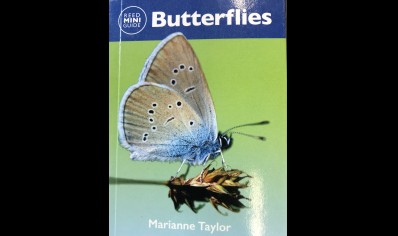 Butterflies - Reed Mini Guide