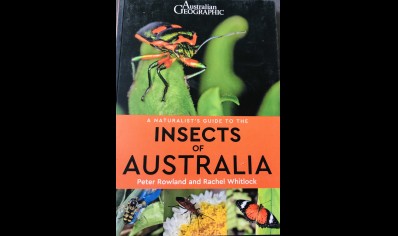 A Naturalist's Guide to the Insects of Austrailia