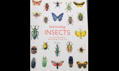 Interesting Insects - Natural History Museum