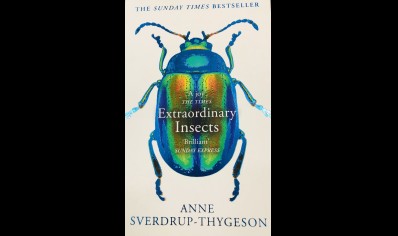Extraordinary Insects- Anne Sverdrup-Thygeson