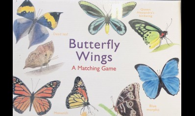Butterfly Wings- A Matching Game