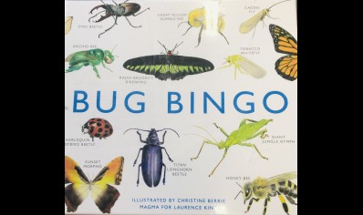 Bug Bingo Game