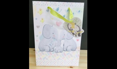 Gift Bag: Baby Jungle Medium Gift Bag- 20% Off was £2.75