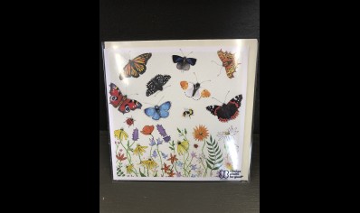 Greeting Card -Butterflies - Emma ball Greeting Card